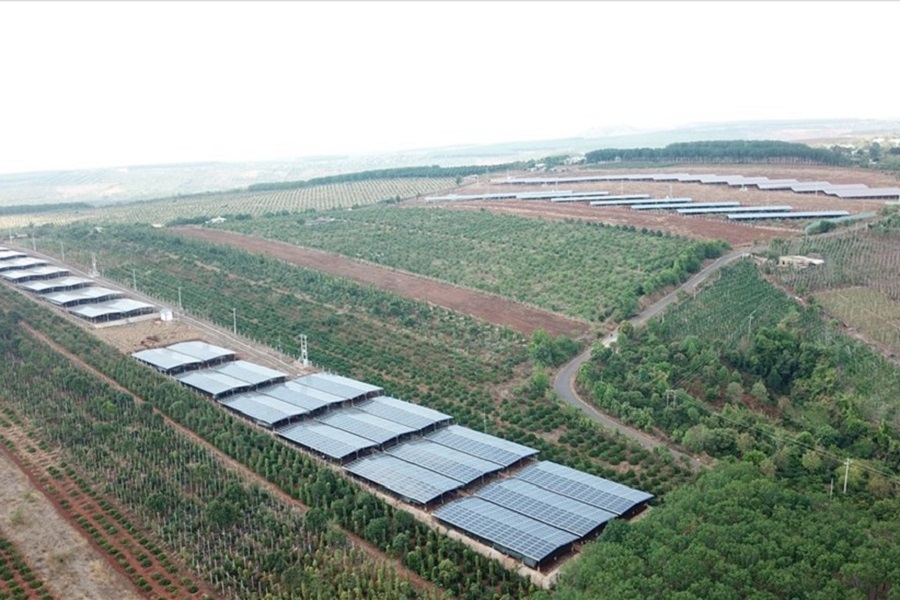 Gia Lai: 3/4 công trình điện mặt trời nghi núp bóng trang trại nông nghiệp